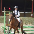 Poni club