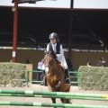 Poni club