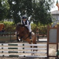 Poni club