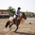 Poni club