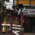 Poni club