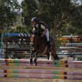 Poni club