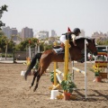 Poni club