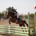 Poni club