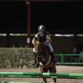 Poni club