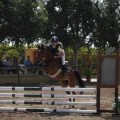 Poni club