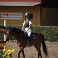 Poni club