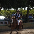 Poni club