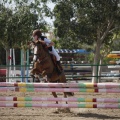 Poni club
