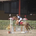 Poni club