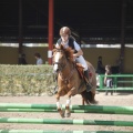 Poni club