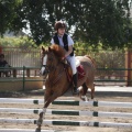 Poni club