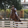 Poni club