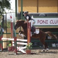 Poni club