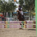 Poni club
