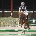 Poni club