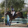 Poni club