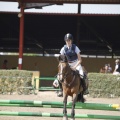 Poni club
