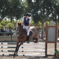 Poni club
