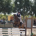 Poni club
