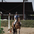 Poni club