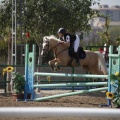 Poni club