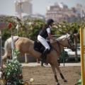 Poni club