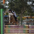 Poni club
