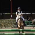 Poni club