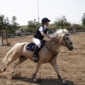 Poni club