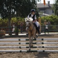 Poni club