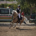 Poni club