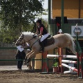 Poni club