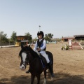 Poni club