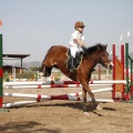 Poni club