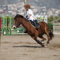 Poni club