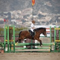 Poni club