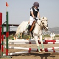 Poni club