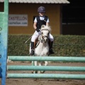 Poni club