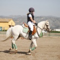 Poni club