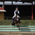 Poni club
