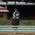 Poni club