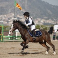 Poni club