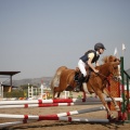 Poni club