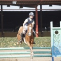 Poni club