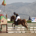 Poni club