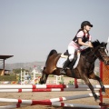 Poni club