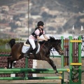 Poni club