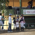 Poni club