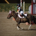 Poni club